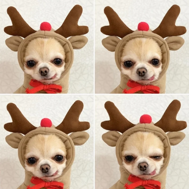 Small and medium-sized dog cute dog transformed into elk fleece sweater Teddy pet autumn and winter coat
Small and medium-sized dog cute dog transformed into elk fleece sweater Teddy pet autumn and winter coat