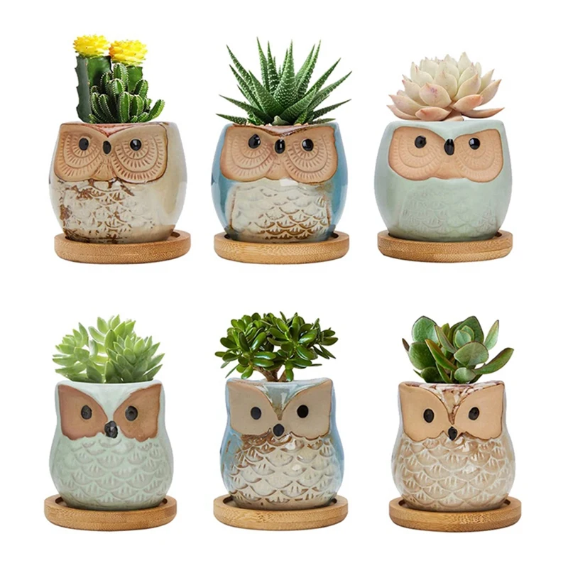 Owl Succulent Pots, Cute Owl Cactus Pots Animal Plant Pot Small Flower Pots With Drain Hole And Bamboo Tray, Set Of 6
Owl Succulent Pots, Cute Owl Cactus Pots Animal Plant Pot Small Flower Pots With Drain Hole And Bamboo Tray, Set Of 6