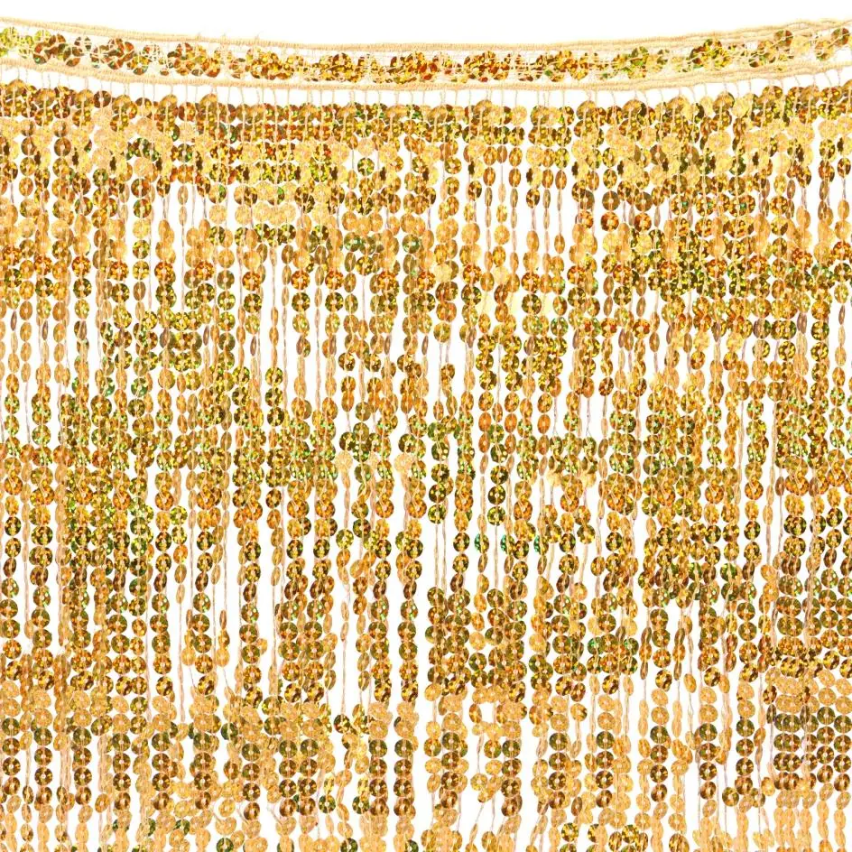 7 ярдов X 11,8 дюйма, шифрованные блестки, кружевная отделка с бахромой, цветное кружево, аксессуары для сценической одежды
7 ярдов X 11,8 дюйма, шифрованные блестки, кружевная отделка с бахромой, цветное кружево, аксессуары для сценической одежды