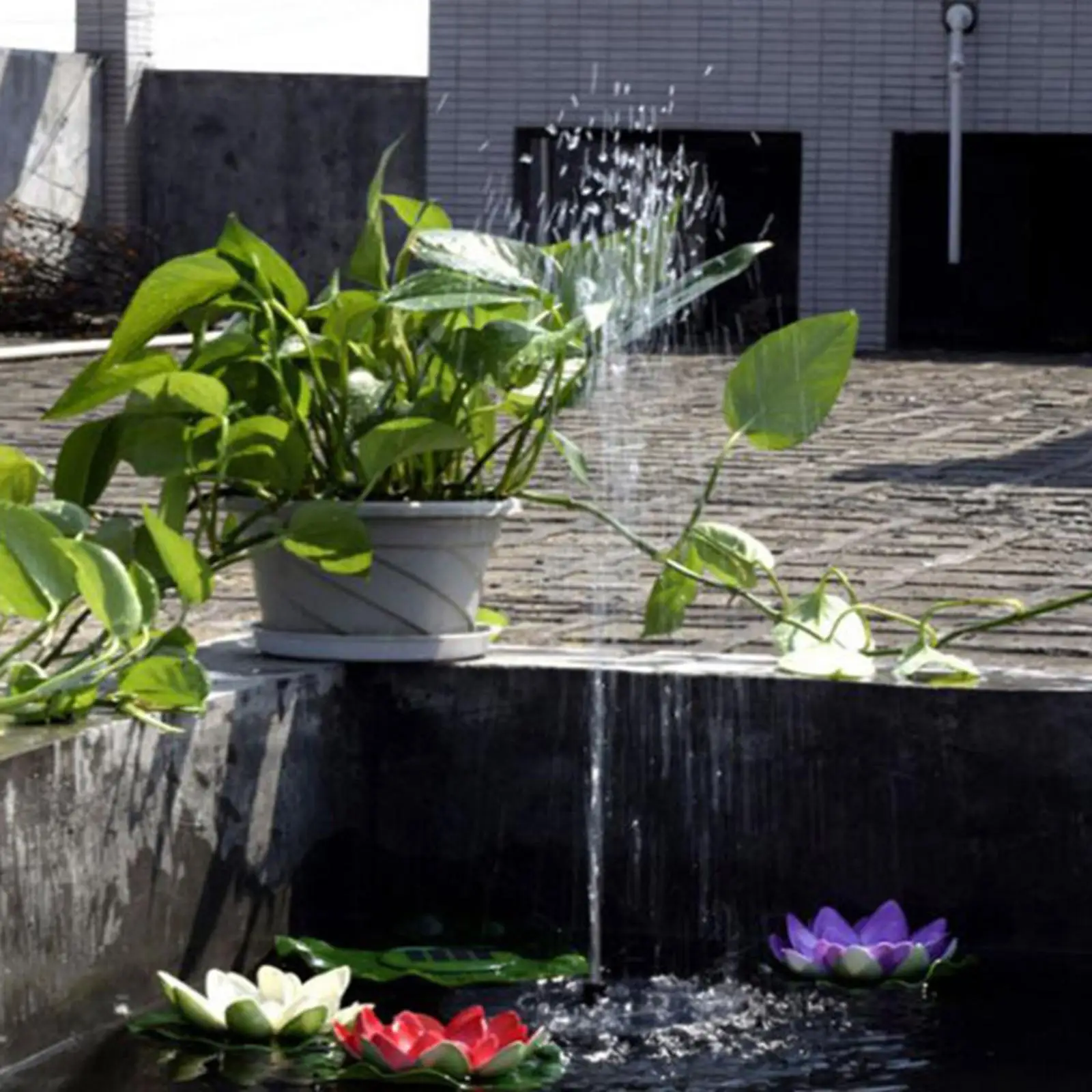 Water Pumps 1.4W Solar Powered Fountain for Outdoor Small Pond, Swimming Pool Black
Water Pumps 1.4W Solar Powered Fountain for Outdoor Small Pond, Swimming Pool Black