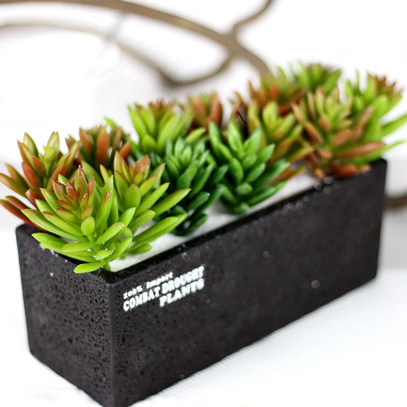 3pcs/lot Lotus Plants Garden Succulent Grass Desert Artificial Plants Landscape Arrangement Garden Decor Cute Decoration
3pcs/lot Lotus Plants Garden Succulent Grass Desert Artificial Plants Landscape Arrangement Garden Decor Cute Decoration