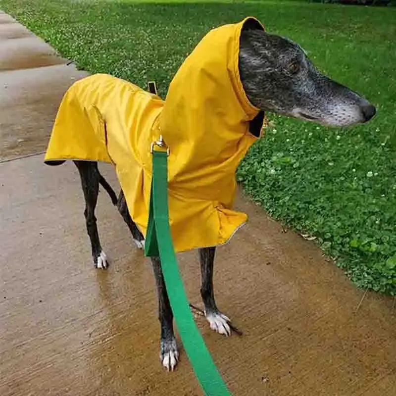 Greyhound Large Dog Clothes Dog Turtleneck Shirt Vest Jacket Winter Warm Thicken Dog Coats French Bulldog Labrador Doberman Outf
Greyhound Large Dog Clothes Dog Turtleneck Shirt Vest Jacket Winter Warm Thicken Dog Coats French Bulldog Labrador Doberman Outf