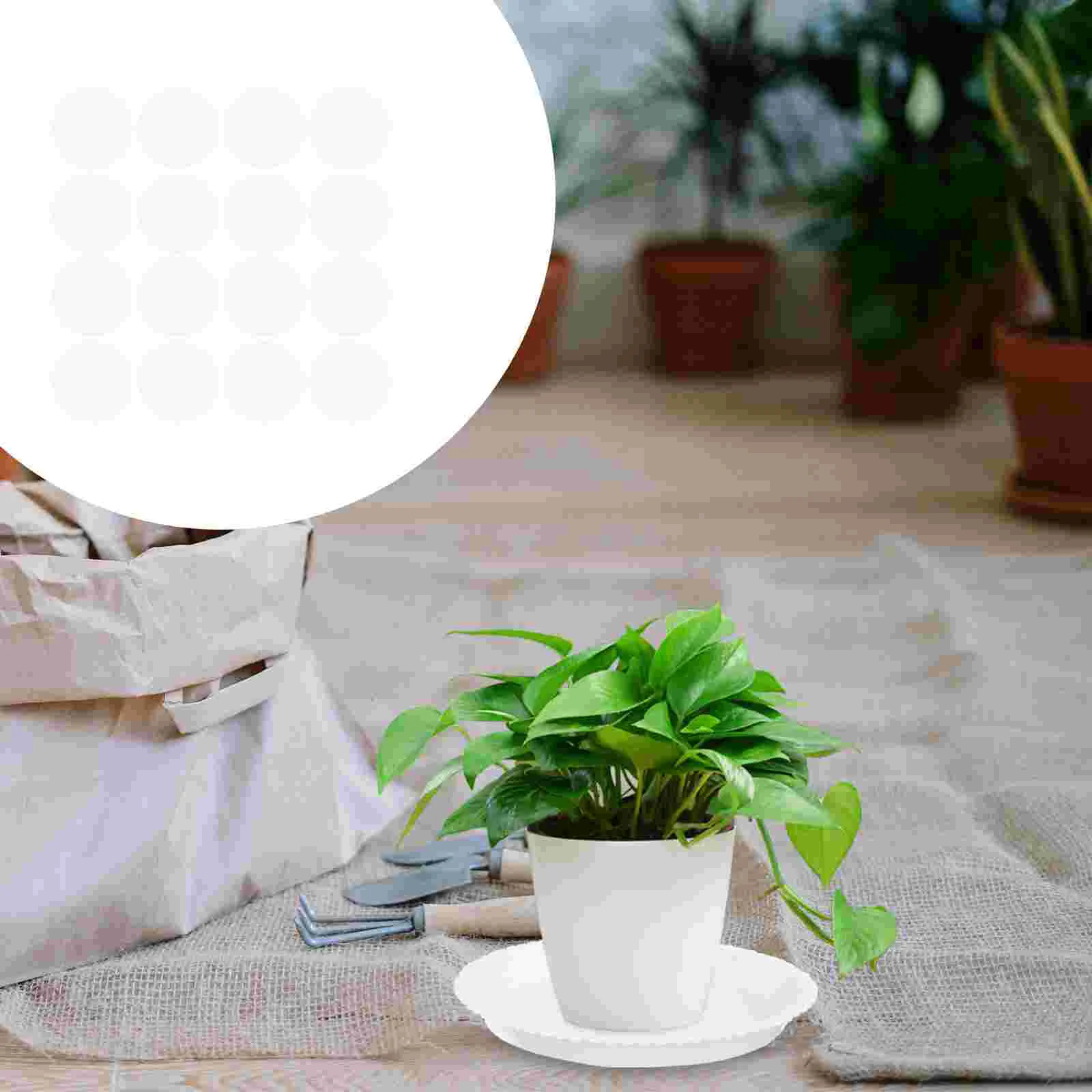 50 Pcs Bonsai Water Trays Water Trays Indoor Plants Trays Pot Trays Plants Flower Pot Drip Tray Base Saucers
50 Pcs Bonsai Water Trays Water Trays Indoor Plants Trays Pot Trays Plants Flower Pot Drip Tray Base Saucers
