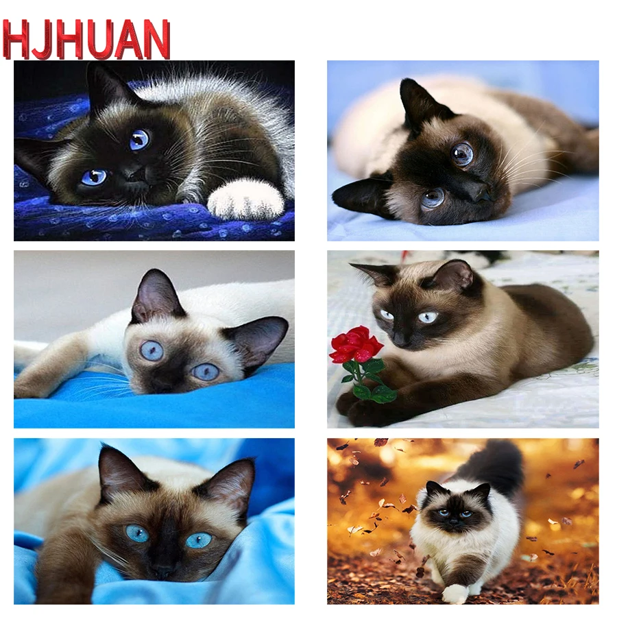 Алмазная 5d Вышивка «сделай сам» в виде кота, животных, алмазная Вышивка крестиком, современный декор, мозаика, алмазная живопись, полноразме...
Алмазная 5d Вышивка «сделай сам» в виде кота, животных, алмазная Вышивка крестиком, современный декор, мозаика, алмазная живопись, полноразме...