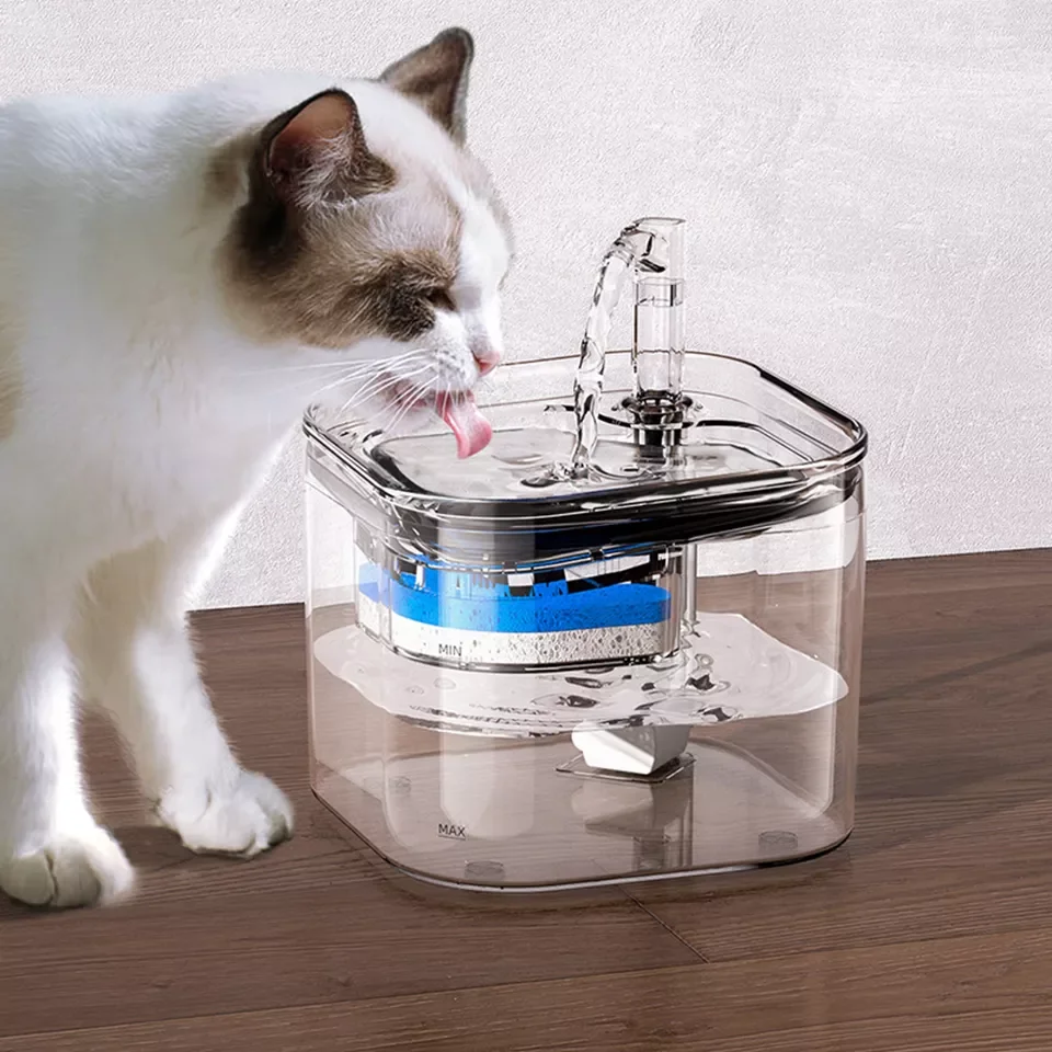 2023New DualPet 2.2L Cat Water Fountain Filter Automatic Sensor Drinker For Cats Feeder Pet Water Dispenser Auto Drinking 
2023New DualPet 2.2L Cat Water Fountain Filter Automatic Sensor Drinker For Cats Feeder Pet Water Dispenser Auto Drinking