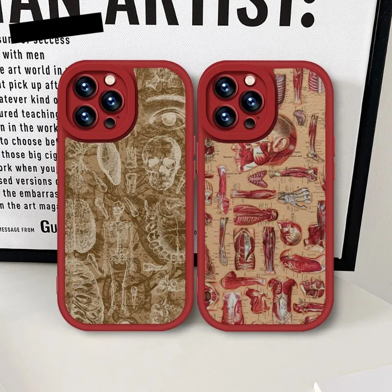 Medical Human Anatomy Phone Case Red For IPhone 14 11 13 12 Pro Max Mini Xs X Xr 7 8 Plus SE2020 Leather Silicone Texture Coque
Medical Human Anatomy Phone Case Red For IPhone 14 11 13 12 Pro Max Mini Xs X Xr 7 8 Plus SE2020 Leather Silicone Texture Coque