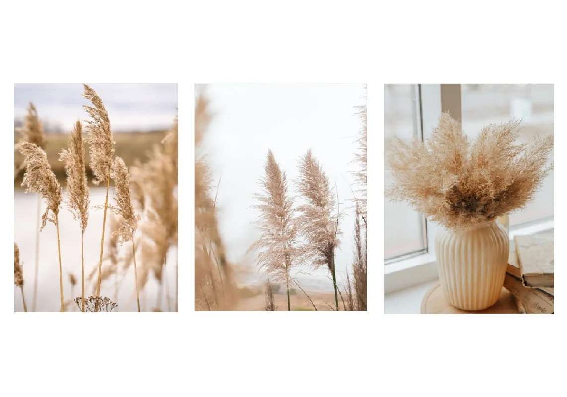 Современная Художественная живопись растения цветы тростник постер торговый центр украшение для аудитории печатная картина фон для украшения стен
Современная Художественная живопись растения цветы тростник постер торговый центр украшение для аудитории печатная картина фон для украшения стен