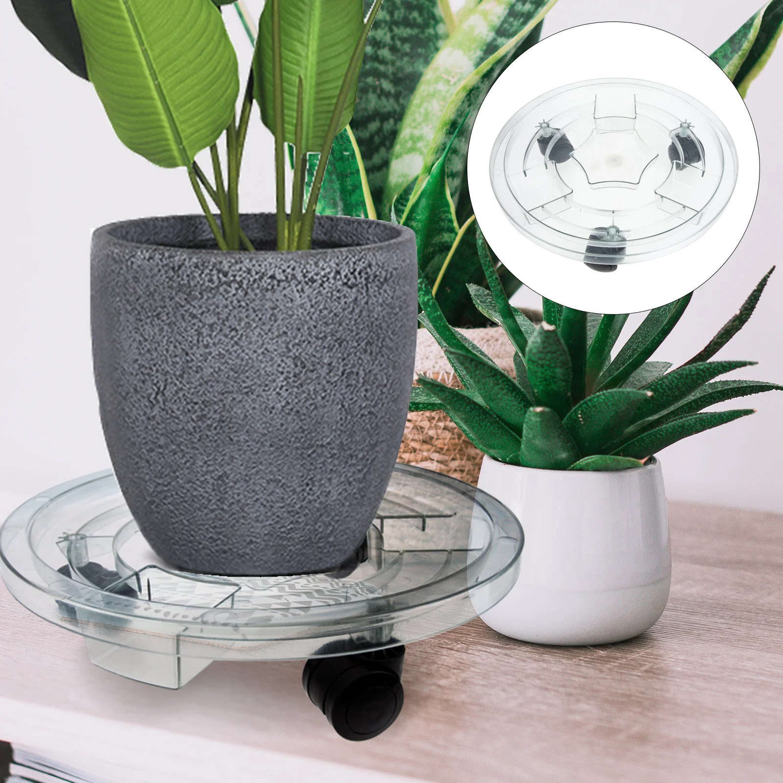 Flower Pot Stand Garbage Can Outdoor Wheels Rolling Casters Heavy Duty Plastic Flowerpot Bottom Standing flowerbed
Flower Pot Stand Garbage Can Outdoor Wheels Rolling Casters Heavy Duty Plastic Flowerpot Bottom Standing flowerbed