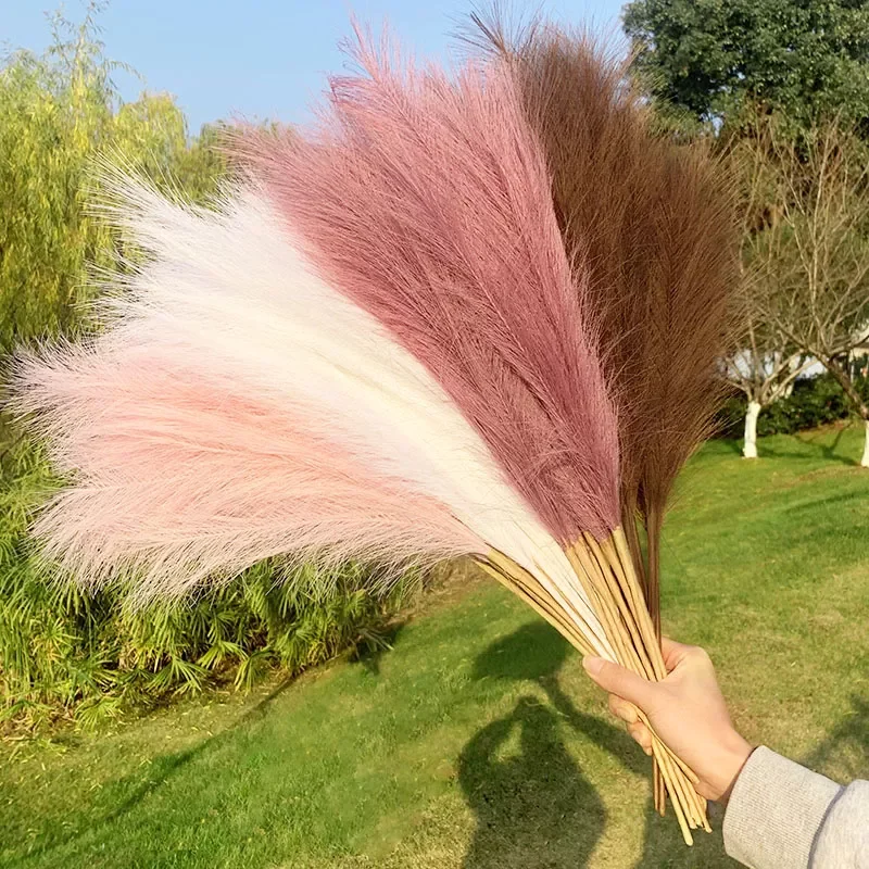 70/110cm Bulrush Pampas Grass Flower Artificial Plants Branch Pampas Grass Phragmites Fake Flower Wedding Party Home Decoration
70/110cm Bulrush Pampas Grass Flower Artificial Plants Branch Pampas Grass Phragmites Fake Flower Wedding Party Home Decoration