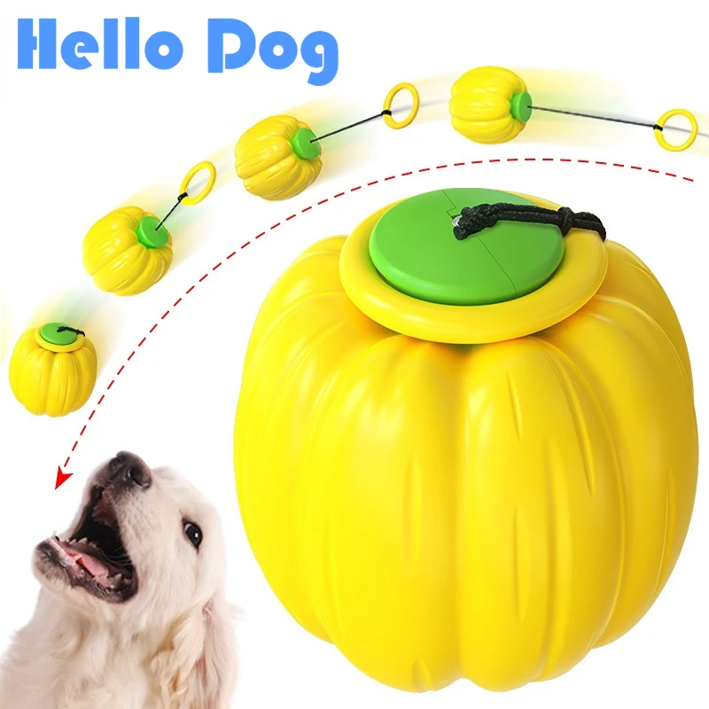 Dog Training Toys Improve IQ Interaction Hand Toss Molar Ball Multifunction Pet Supplies Accessories for Large/Small Dogs
Dog Training Toys Improve IQ Interaction Hand Toss Molar Ball Multifunction Pet Supplies Accessories for Large/Small Dogs
