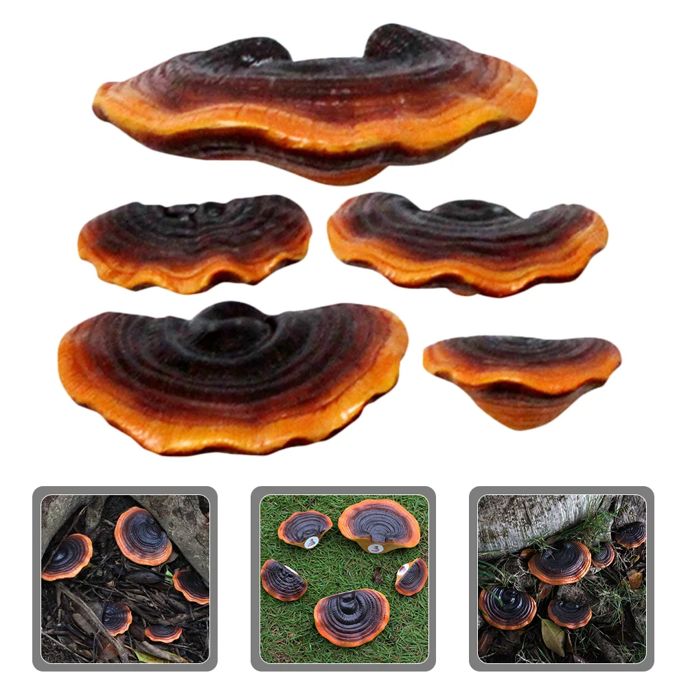 5 Pcs Decor Small Mushroom Figure Bonsai Resin Figurine Garden Decoration Ornament
5 Pcs Decor Small Mushroom Figure Bonsai Resin Figurine Garden Decoration Ornament