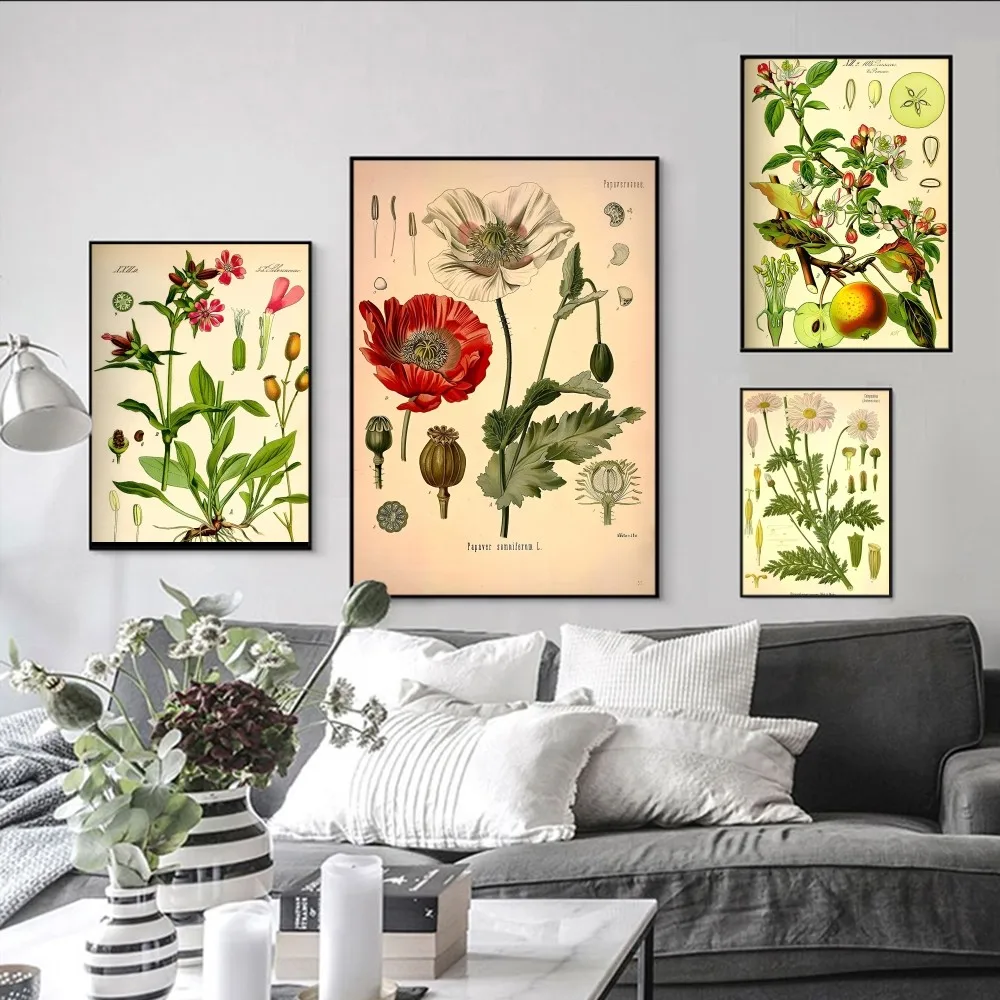 plant flower study Poster Self-adhesive Art Poster Retro Kraft Paper Sticker DIY Room Bar Cafe Vintage Decorative Painting 
plant flower study Poster Self-adhesive Art Poster Retro Kraft Paper Sticker DIY Room Bar Cafe Vintage Decorative Painting