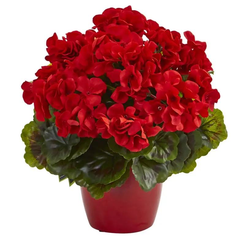 High Quality UV Resistant Artificial Potted Geranium Plants (Indoor/Outdoor) - Set of 2 in Ceramic Vases (128-156 characters)
High Quality UV Resistant Artificial Potted Geranium Plants (Indoor/Outdoor) - Set of 2 in Ceramic Vases (128-156 characters)