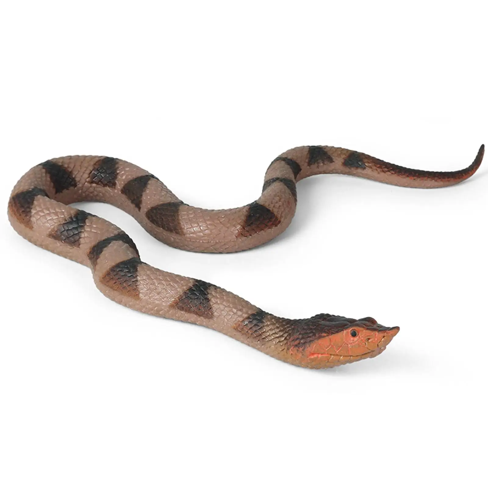 Fake Snake Toy Wildlife Toy Prank Toy Educational Toys for Desktop Halloween Masquerade Decor
Fake Snake Toy Wildlife Toy Prank Toy Educational Toys for Desktop Halloween Masquerade Decor