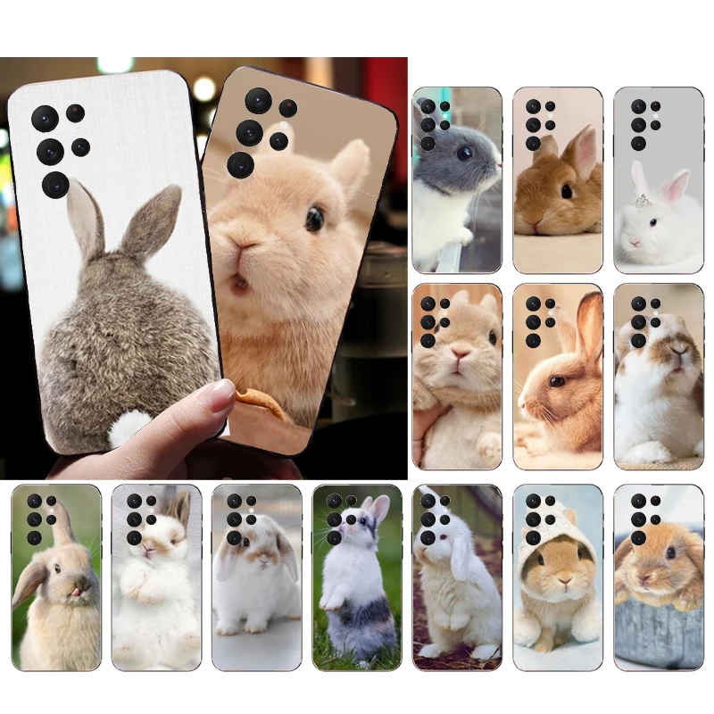 Bunny Rabbits Phone Case for Samsung Galaxy S23 S22 S21 S20 Ultra S20 S22 S21 S10E S20FE Note 10Plus Note20 Ultra Funda
Bunny Rabbits Phone Case for Samsung Galaxy S23 S22 S21 S20 Ultra S20 S22 S21 S10E S20FE Note 10Plus Note20 Ultra Funda