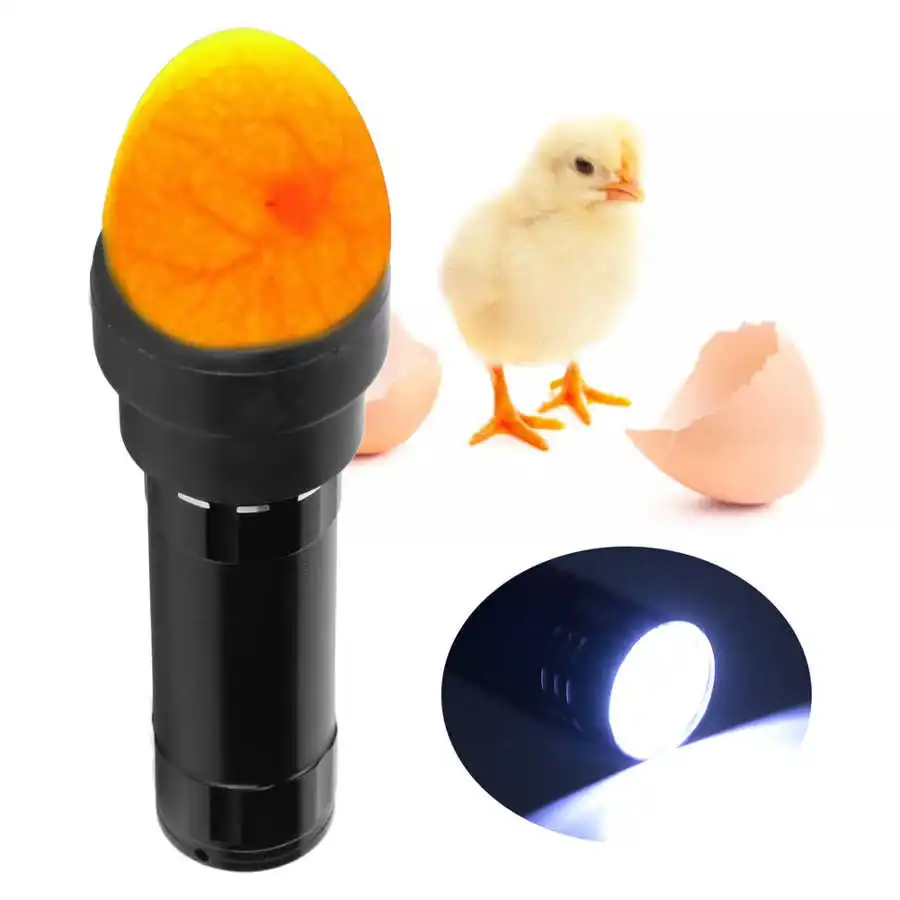 Egg Candler Tester Incubator Eggtester Egg Test Flashlight LED Egg Candling Lamp Cold Incubation Equipment Poultry Incubate Tool
Egg Candler Tester Incubator Eggtester Egg Test Flashlight LED Egg Candling Lamp Cold Incubation Equipment Poultry Incubate Tool