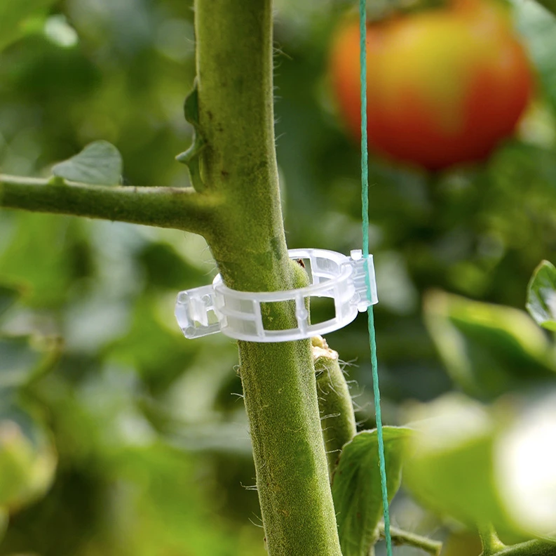 100Pcs Plant Vine Tomato Stem Clips Supports Connect To Trellis Twine Cages Plastic Sling Clips Fastener Plant Vines
100Pcs Plant Vine Tomato Stem Clips Supports Connect To Trellis Twine Cages Plastic Sling Clips Fastener Plant Vines