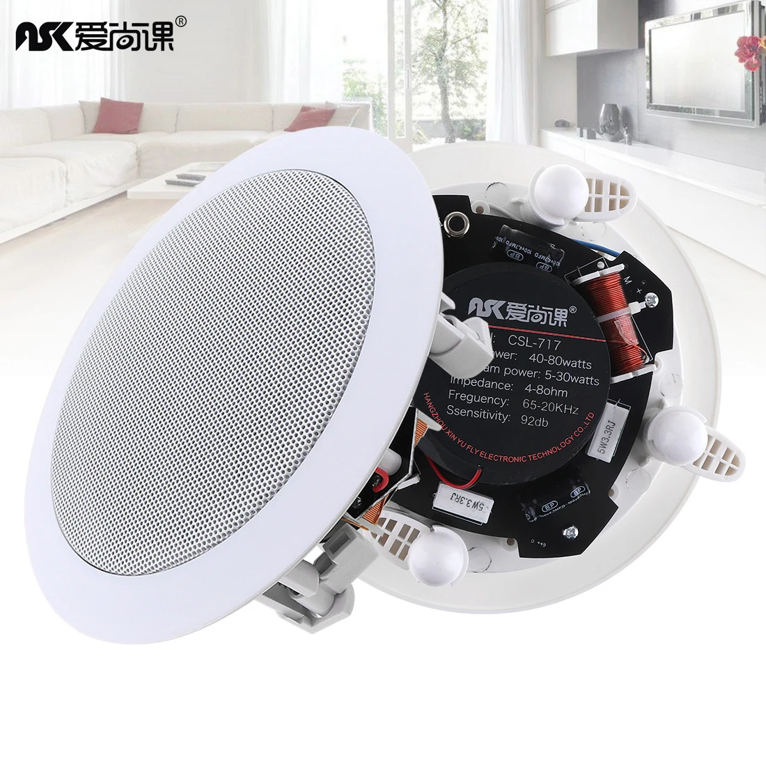5 Inch 20W Coaxial Fixed Resistance Radio High Fidelity Ceiling Speaker Public Broadcast Background Music Loudspeaker for Home
5 Inch 20W Coaxial Fixed Resistance Radio High Fidelity Ceiling Speaker Public Broadcast Background Music Loudspeaker for Home