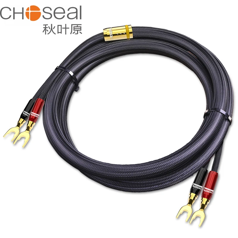 CHOSEAL HIFI динамик аудио кабель Высокая точность OCC спикер провода DIY с u-образной вилкой типа банан 2шт 2,5 м
CHOSEAL HIFI динамик аудио кабель Высокая точность OCC спикер провода DIY с u-образной вилкой типа банан 2шт 2,5 м