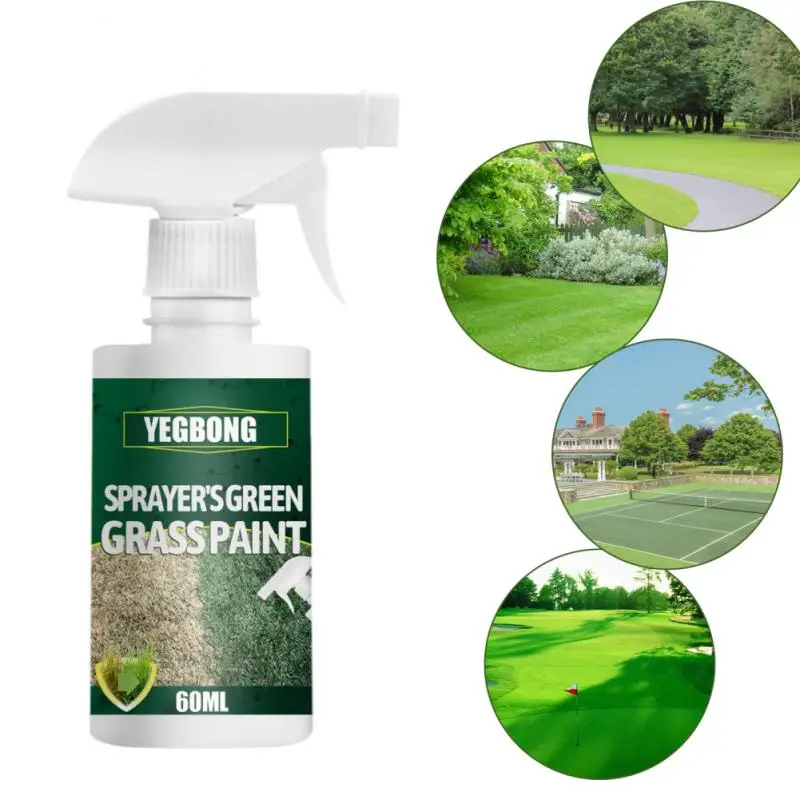 60ml Plant Green Agent Turf Paint Friendly Lawn Colorant Maintenance Agent Increase Green Lawn Agent Green Grass Paint Wholesale
60ml Plant Green Agent Turf Paint Friendly Lawn Colorant Maintenance Agent Increase Green Lawn Agent Green Grass Paint Wholesale