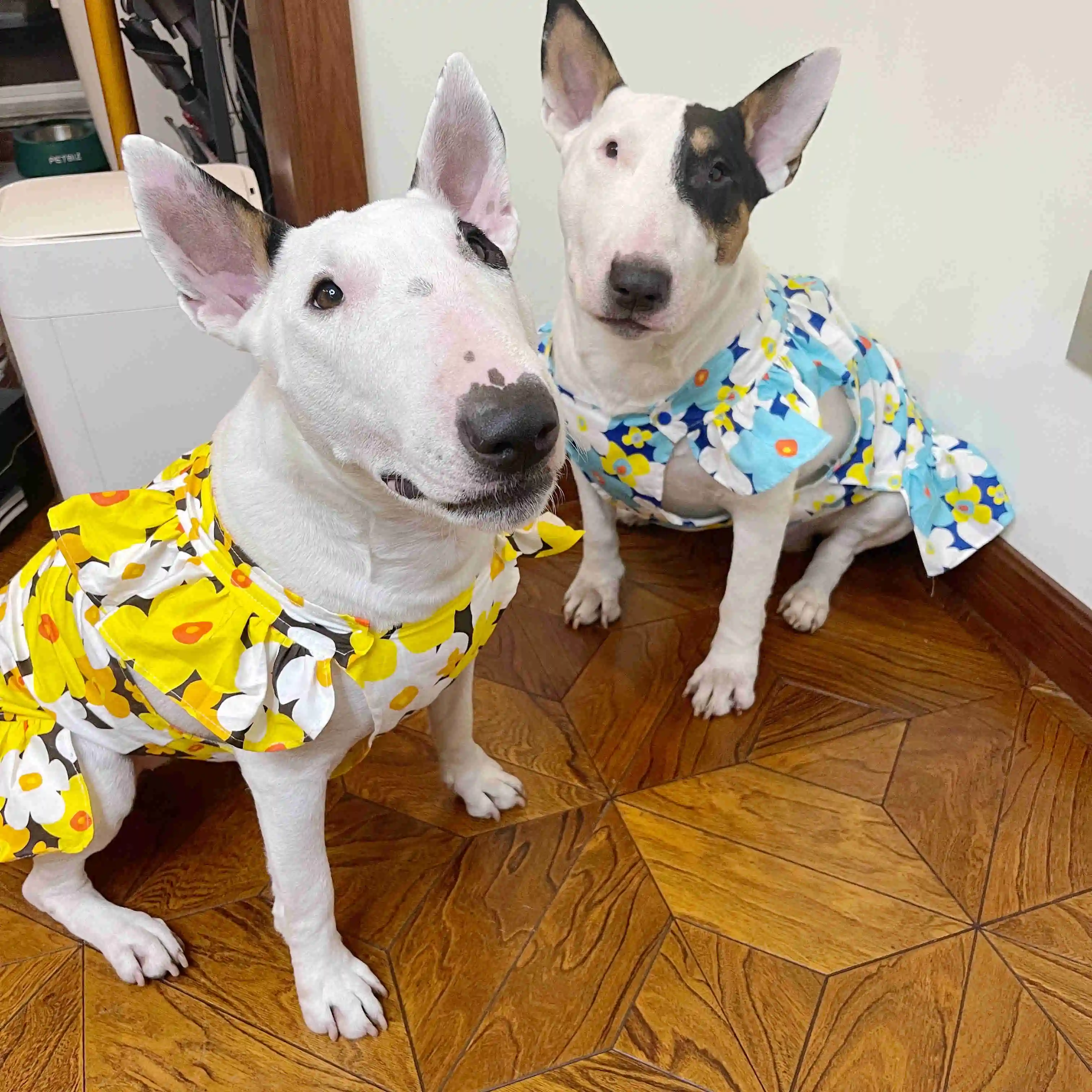 Flower pet skirt cute cat and dog folding lace skirt big dog clothes bull terrier Labrador golden retriever Whippet
Flower pet skirt cute cat and dog folding lace skirt big dog clothes bull terrier Labrador golden retriever Whippet