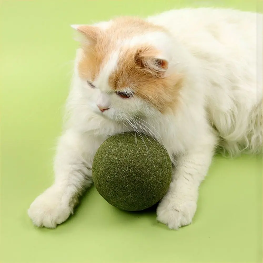1PC Natural Relieve Boredom Extra Large for Kitten Teeth Grinding Cat Chasing Ball Cat Mint Balls Cat Treat Cat Teaser Toys
1PC Natural Relieve Boredom Extra Large for Kitten Teeth Grinding Cat Chasing Ball Cat Mint Balls Cat Treat Cat Teaser Toys