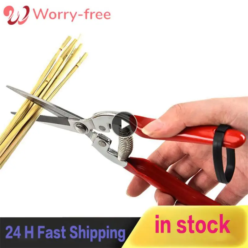 Red Stainless Steel Material Pruning Tool High Quality Spring Branch Shears Widely Applicable Reinforced Rivets Picking Shears
Red Stainless Steel Material Pruning Tool High Quality Spring Branch Shears Widely Applicable Reinforced Rivets Picking Shears