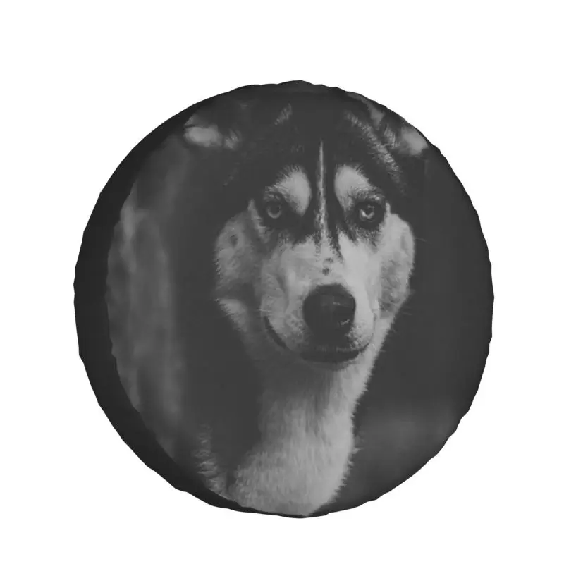 Car spare tire COVER CAR polyester tire storage bag car tire accessories waterproof and dustproof protection sun wheel tire wolf
Car spare tire COVER CAR polyester tire storage bag car tire accessories waterproof and dustproof protection sun wheel tire wolf