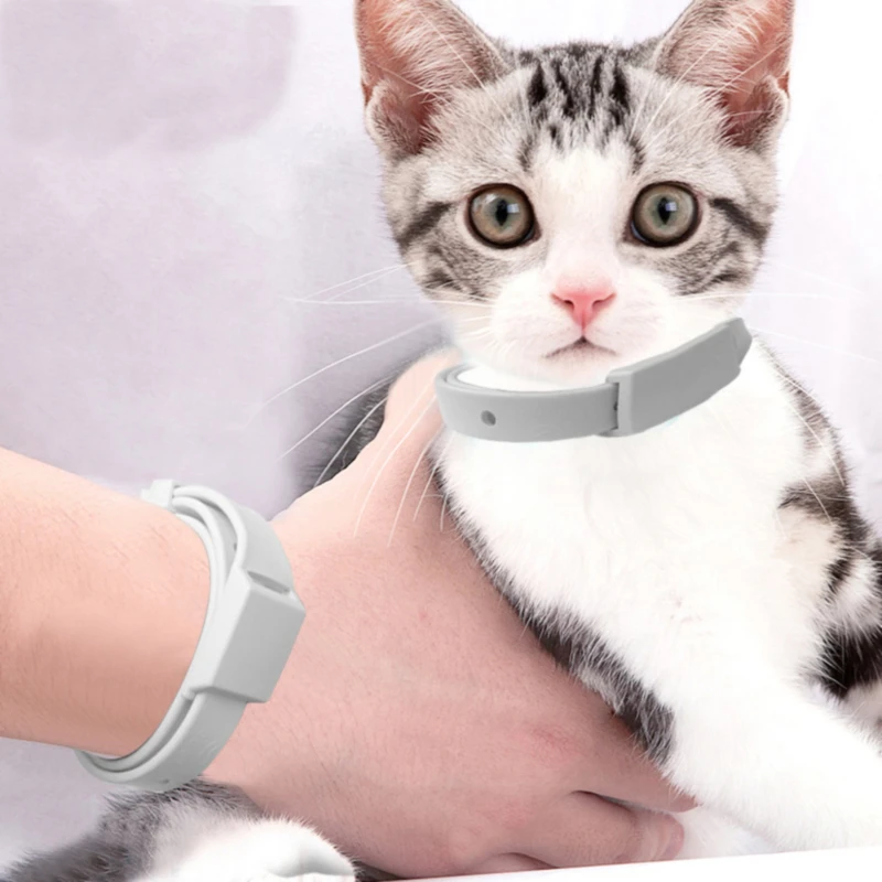 Pet Flea Collar Cat Dog Mosquito Repellent Insect Collar Pet In Vitro Deworming Flea Collar
Pet Flea Collar Cat Dog Mosquito Repellent Insect Collar Pet In Vitro Deworming Flea Collar