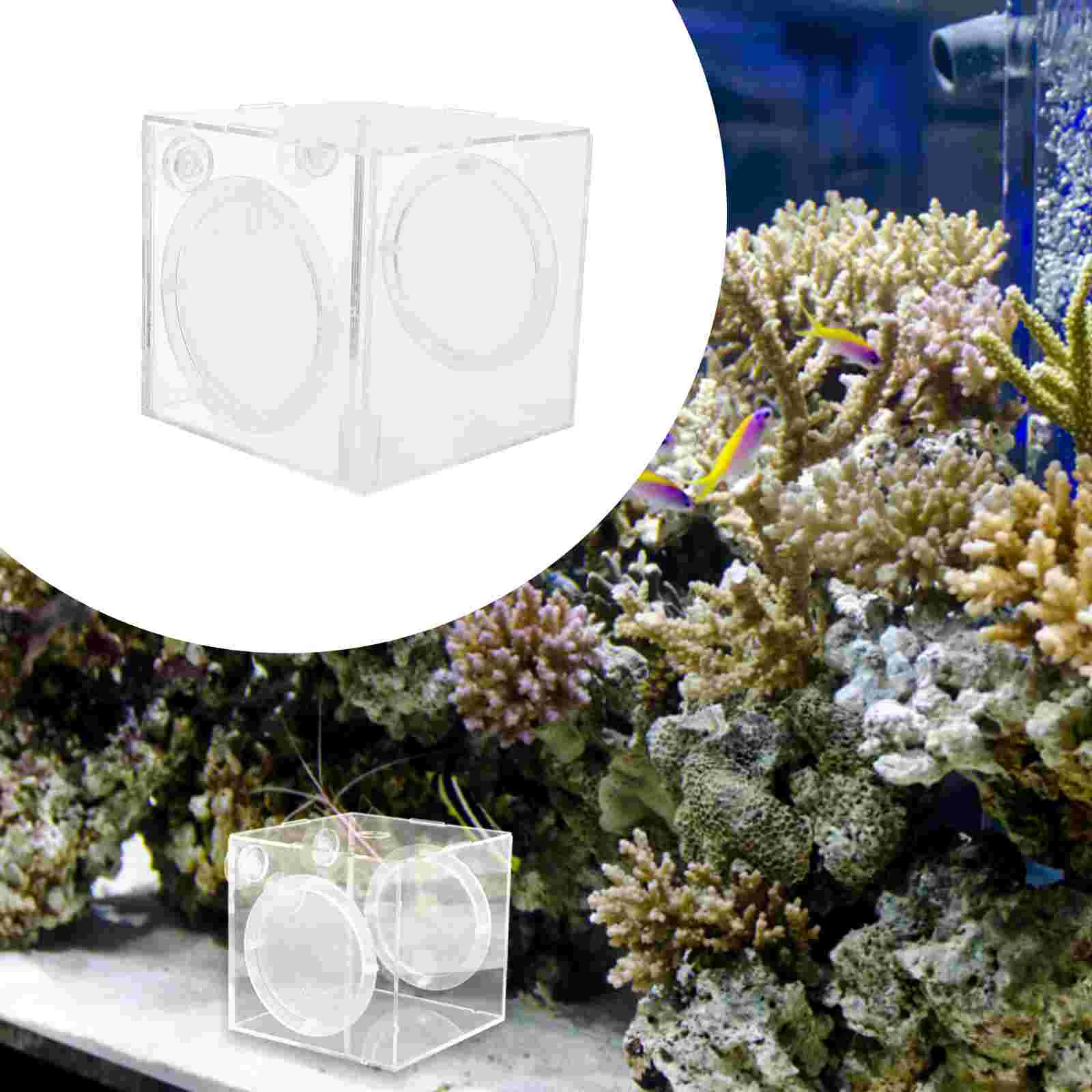 Box Aquarium Breeder Breeding Tank Net Isolation Hatchery Fry Incubator Separation Acclimation Reptile Acrylic Habitat Turtle
Box Aquarium Breeder Breeding Tank Net Isolation Hatchery Fry Incubator Separation Acclimation Reptile Acrylic Habitat Turtle