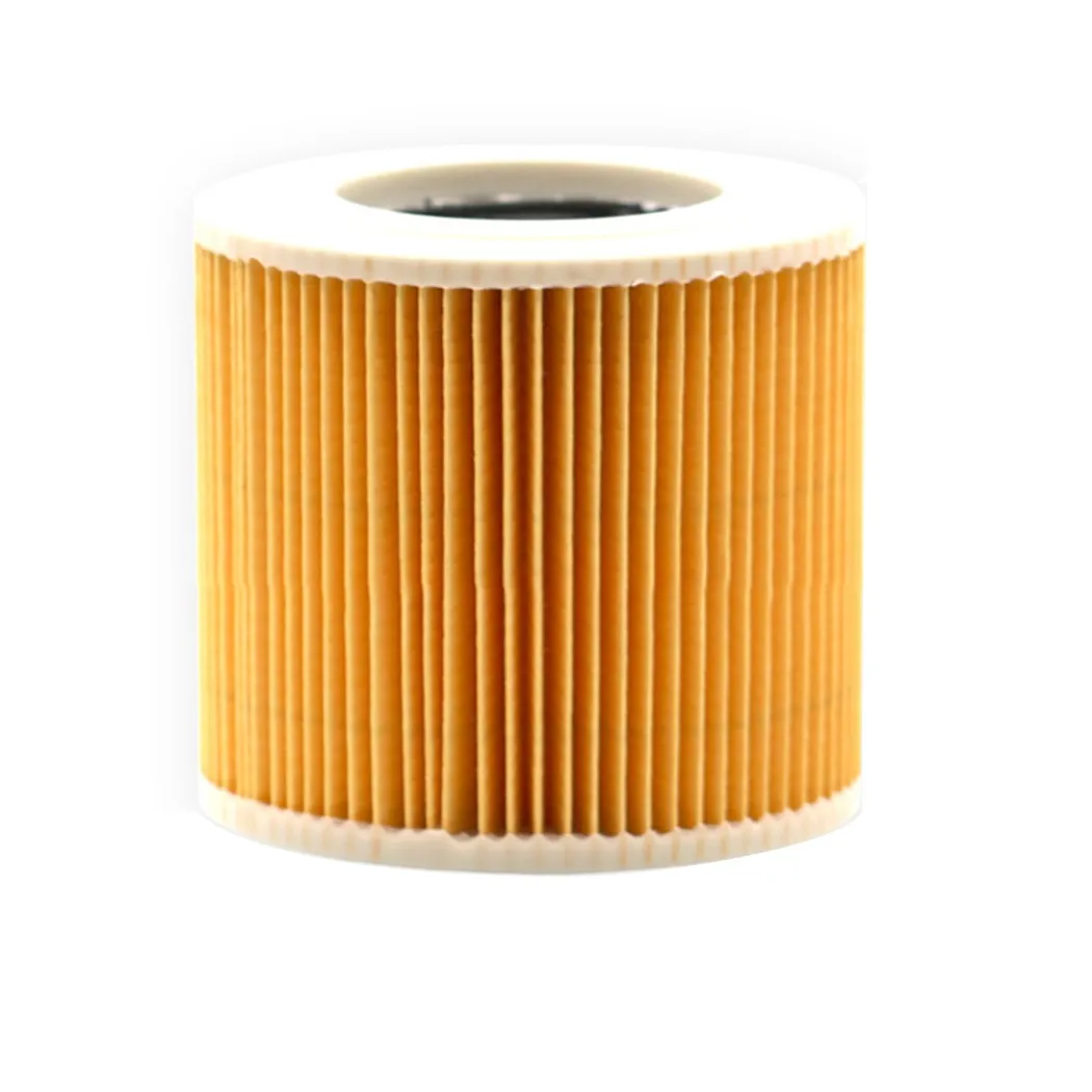Cartridge Filter For Karcher WD 3.500 P, A1000, A1001, MV2, MV3 Fireplace Kit Vacuum Cleaner Spare Parts Accessories
Cartridge Filter For Karcher WD 3.500 P, A1000, A1001, MV2, MV3 Fireplace Kit Vacuum Cleaner Spare Parts Accessories