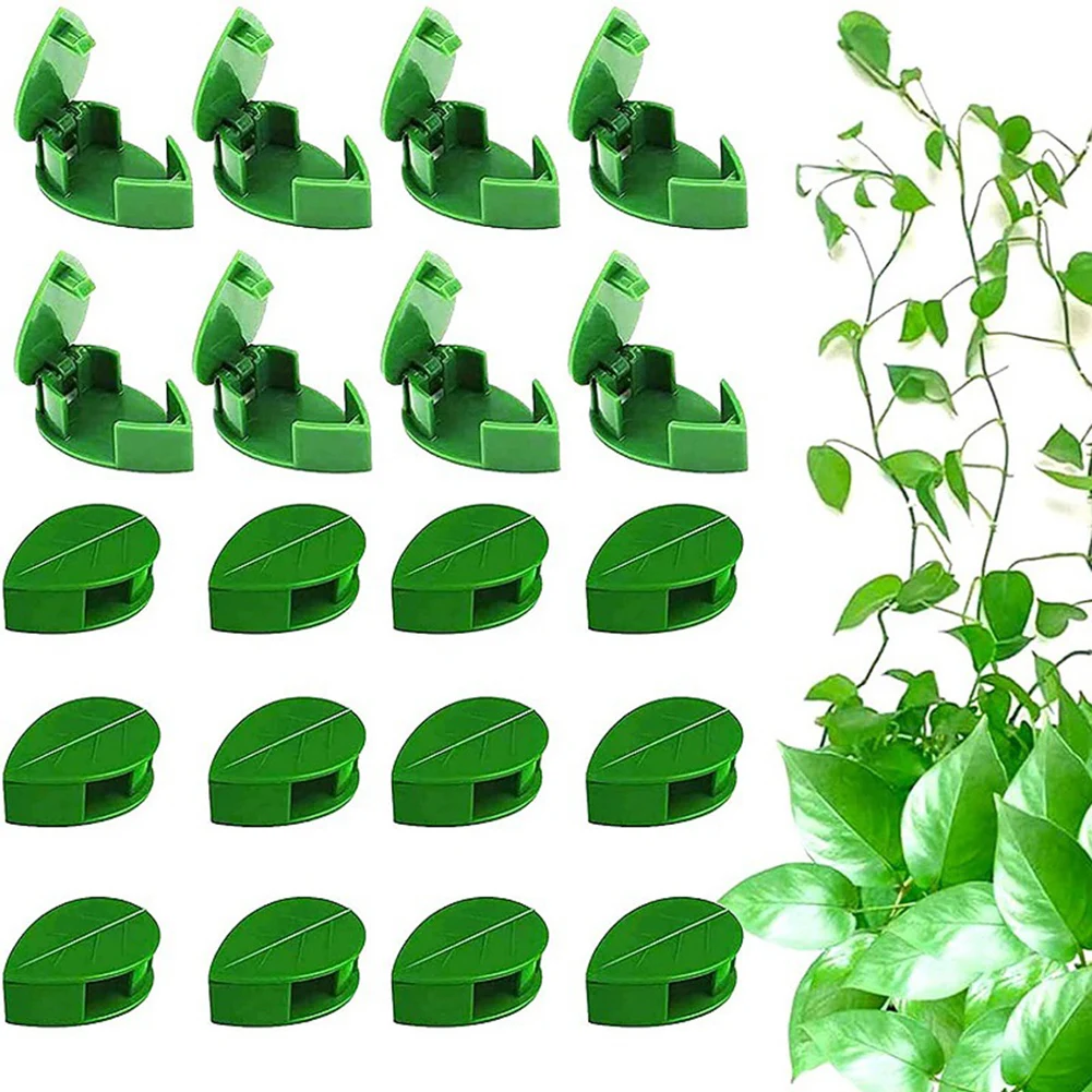 Fixator Home Traceless Climbing Fixator Vine Green Creative Line Adjuster 10* Plant Climbing Wall Clips And12* Adhesive
Fixator Home Traceless Climbing Fixator Vine Green Creative Line Adjuster 10* Plant Climbing Wall Clips And12* Adhesive