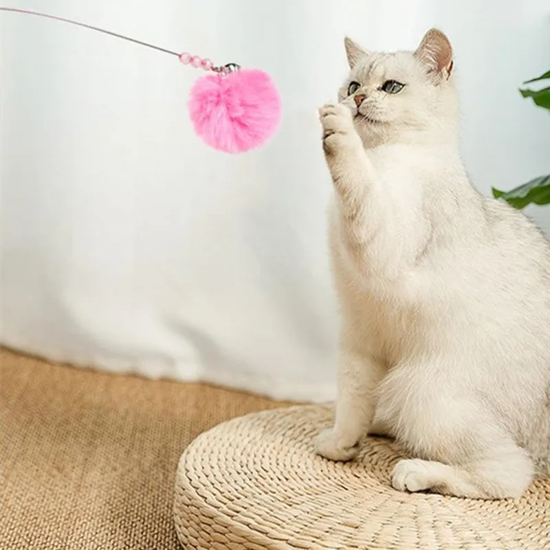 Cat Toy Funny Cat Toys Interactive Steel Wire Cats Toy with Fur Ball Feather Toys for Cats Scratch Bite Catch Ball Pet Supplies
Cat Toy Funny Cat Toys Interactive Steel Wire Cats Toy with Fur Ball Feather Toys for Cats Scratch Bite Catch Ball Pet Supplies