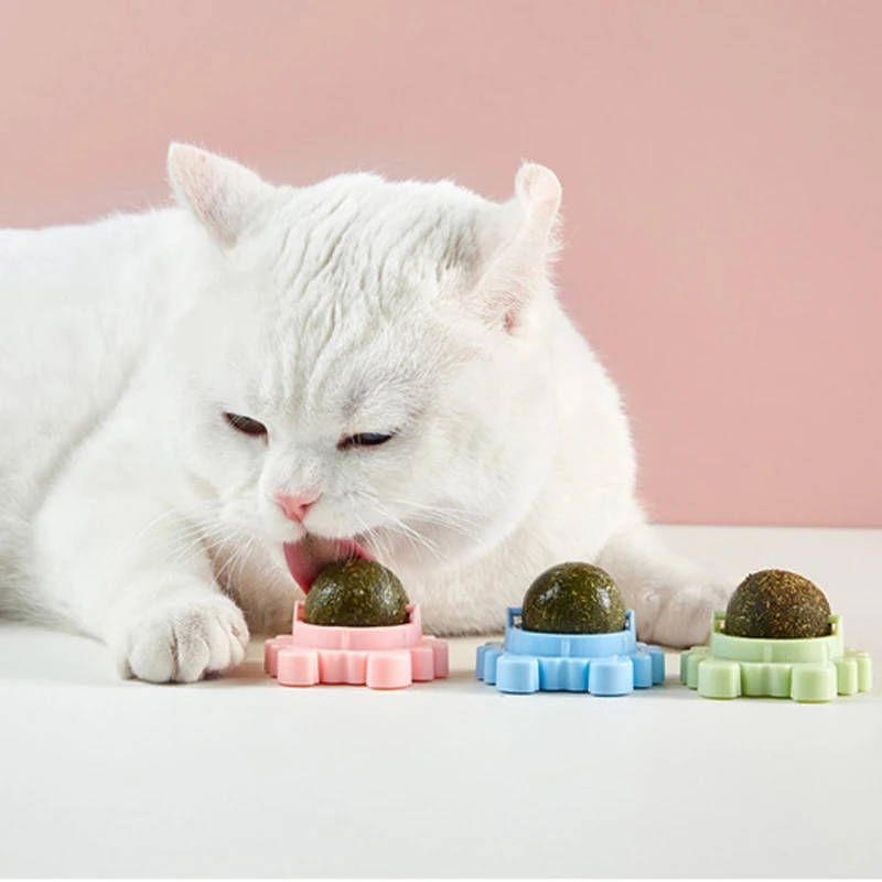 Cat Candy Cat Snack Licking Sugar Ball Catnip Wall Ball Kitten Licking Sweet Nutrition Energy Ball For Indoor Cat Teeth Cleaning
Cat Candy Cat Snack Licking Sugar Ball Catnip Wall Ball Kitten Licking Sweet Nutrition Energy Ball For Indoor Cat Teeth Cleaning