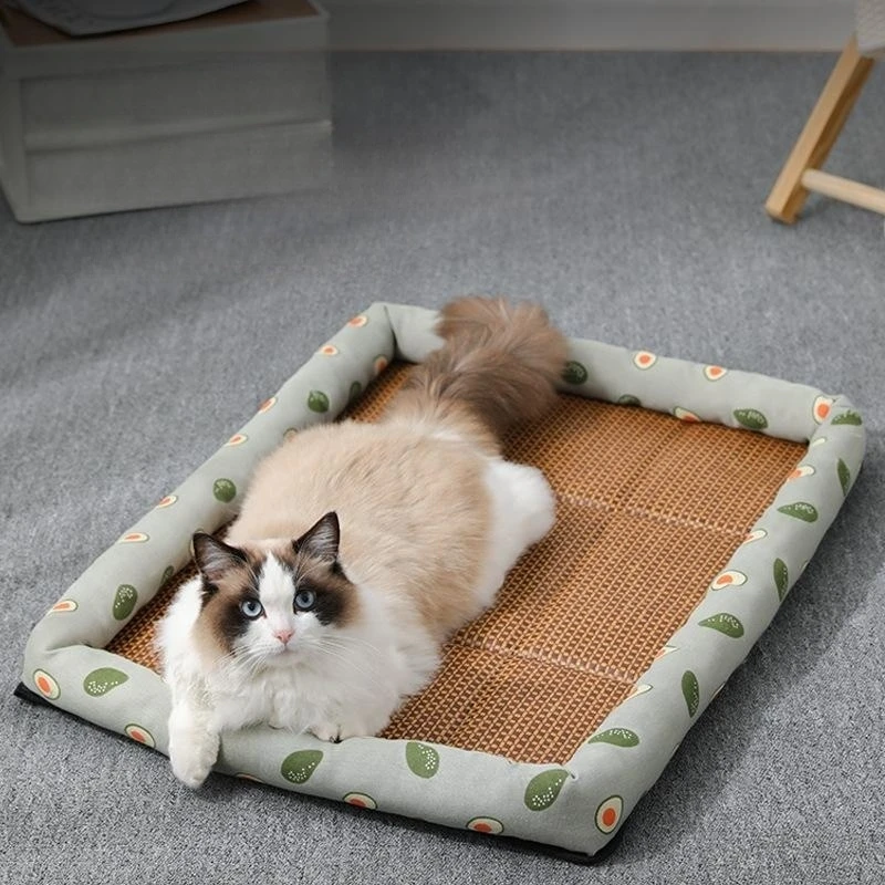 Summer Cat Bed Cool Rattan Mat Nest Lightweight and Breathable Pet Bed Neck Pillow Dog Bed Ice Mat Cat Nest Pet Supplies
Summer Cat Bed Cool Rattan Mat Nest Lightweight and Breathable Pet Bed Neck Pillow Dog Bed Ice Mat Cat Nest Pet Supplies