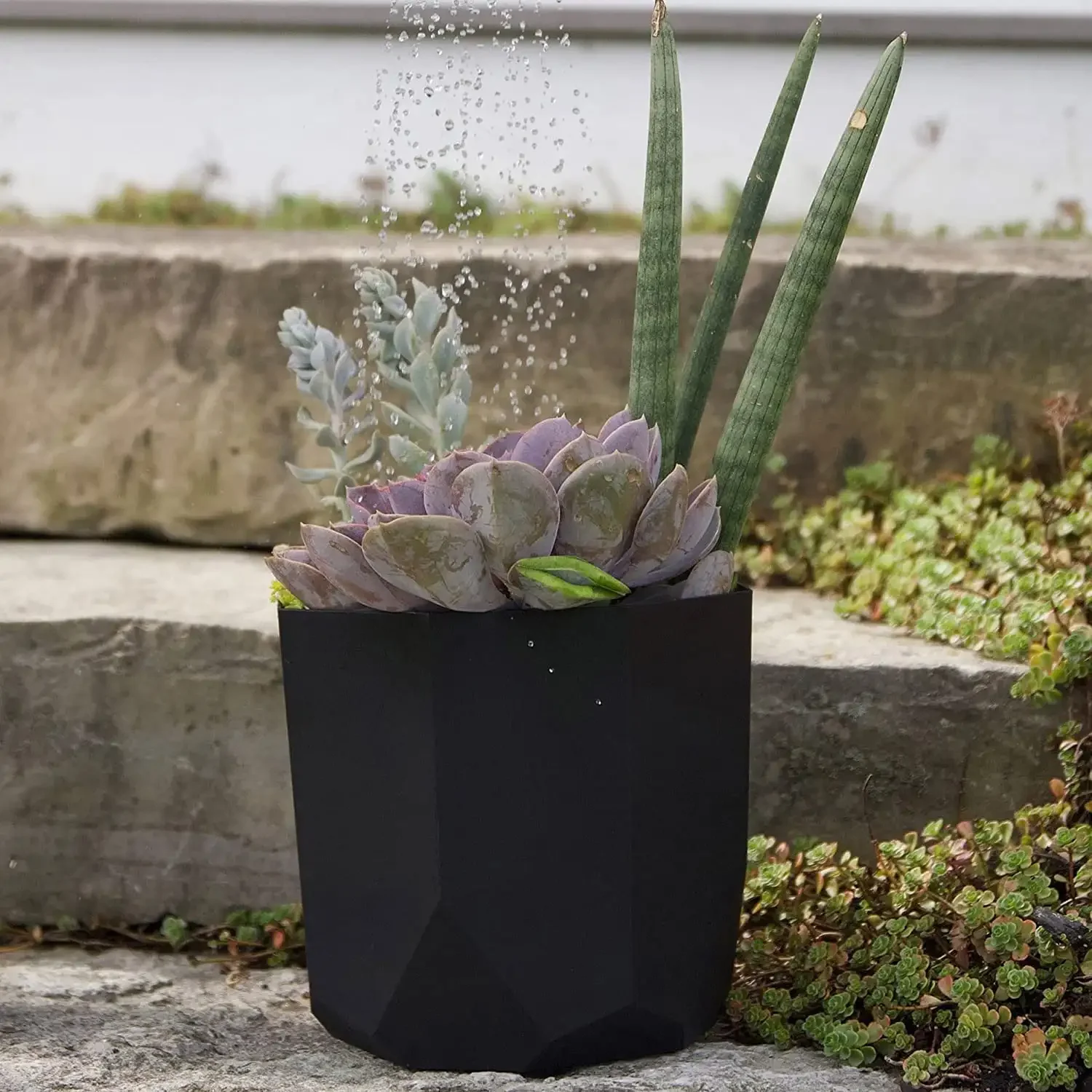 10-in Geometric Resin Planter - Black Planters for Indoor Plants Flower Pot Pots for Plants Succulent Pot
10-in Geometric Resin Planter - Black Planters for Indoor Plants Flower Pot Pots for Plants Succulent Pot