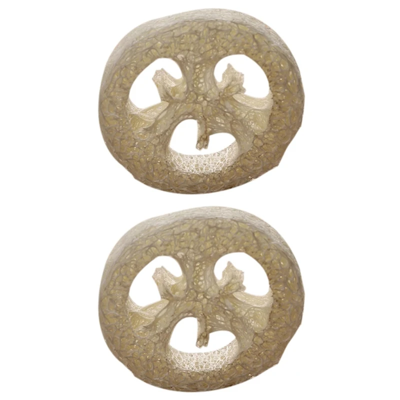 300Pcs Natural Loofah Luffa Loofa Slices Handmade Loofah Soap Box Tray Tools Cleaner Sponge Facial Soap Holder
300Pcs Natural Loofah Luffa Loofa Slices Handmade Loofah Soap Box Tray Tools Cleaner Sponge Facial Soap Holder