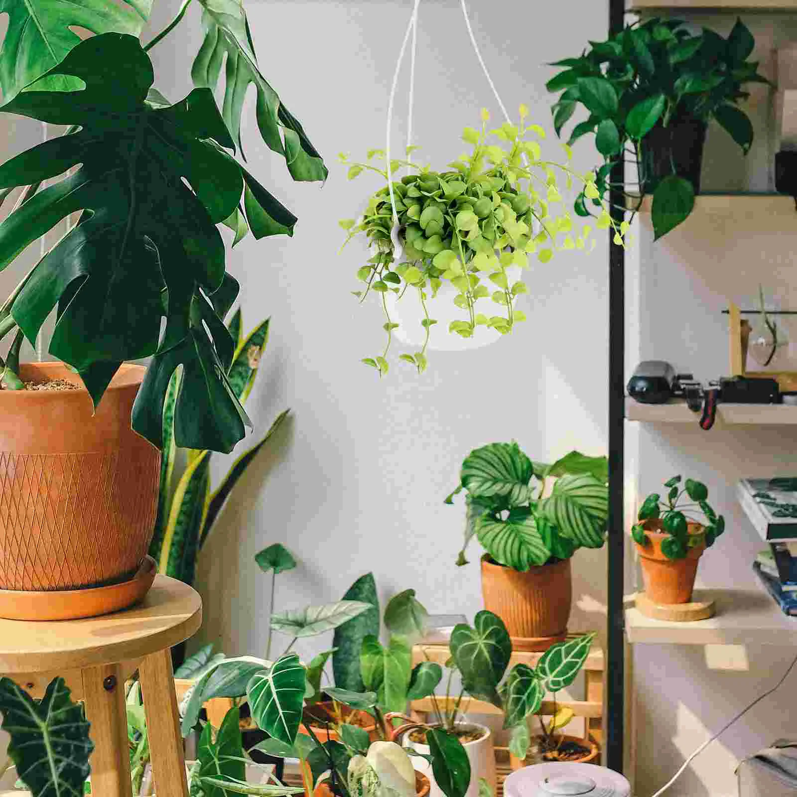 4 Pcs Hanging Pots Plants Indoor Planter Flower Planters Outdoor Baskets Flowerpot
4 Pcs Hanging Pots Plants Indoor Planter Flower Planters Outdoor Baskets Flowerpot