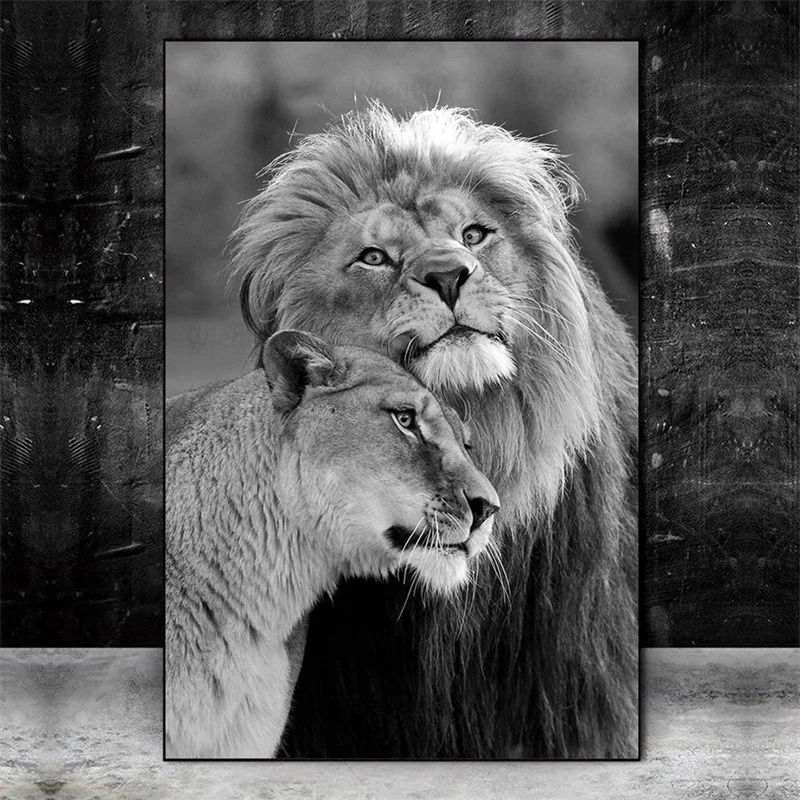 Black And White Male And Female Lion Poster And Prints Animal Canvas Painting Living Room Bedroom Home Decor HD Wall Art Picture
Black And White Male And Female Lion Poster And Prints Animal Canvas Painting Living Room Bedroom Home Decor HD Wall Art Picture