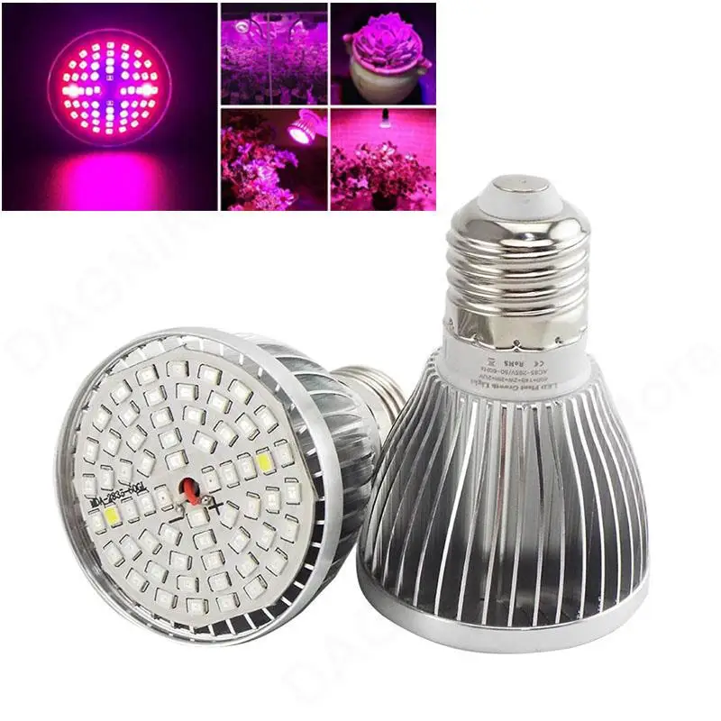 60 LED Plant Grow Lights Lamp Bulb Full Spectrum Growing UV IR for Hydro System Indoor Flower Veg Grow Tent Box Powerful Light
60 LED Plant Grow Lights Lamp Bulb Full Spectrum Growing UV IR for Hydro System Indoor Flower Veg Grow Tent Box Powerful Light