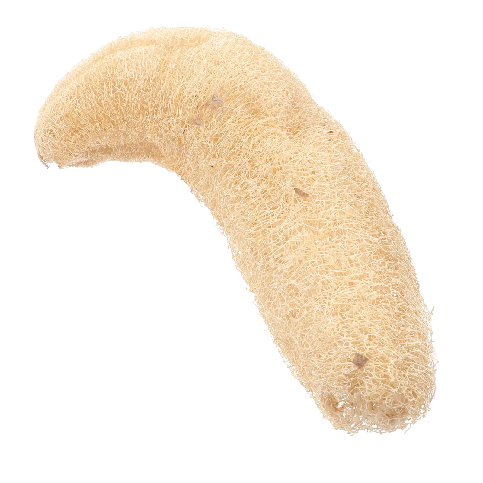Loofah Sponge Shower Sponge Scrubber Cleaning Scrubber Natural Loofah Bath Supplies Loofah Bath Sponge Bath Scrubber Body
Loofah Sponge Shower Sponge Scrubber Cleaning Scrubber Natural Loofah Bath Supplies Loofah Bath Sponge Bath Scrubber Body