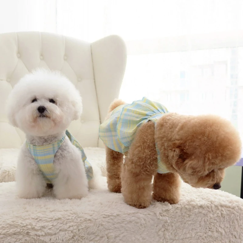 Pet Dress Summer Cat Dog One-piece Double Plaid Skirt Thin Striped Suspender Skirt Designer Dog Clothes Dog Dress
Pet Dress Summer Cat Dog One-piece Double Plaid Skirt Thin Striped Suspender Skirt Designer Dog Clothes Dog Dress