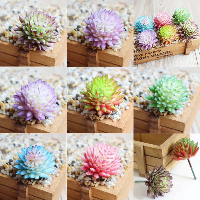 Artifical Plastic Succulent Plant Cactus Eco-Friendly Simulation Flower Home Office Desktop Gift Decoration
Artifical Plastic Succulent Plant Cactus Eco-Friendly Simulation Flower Home Office Desktop Gift Decoration