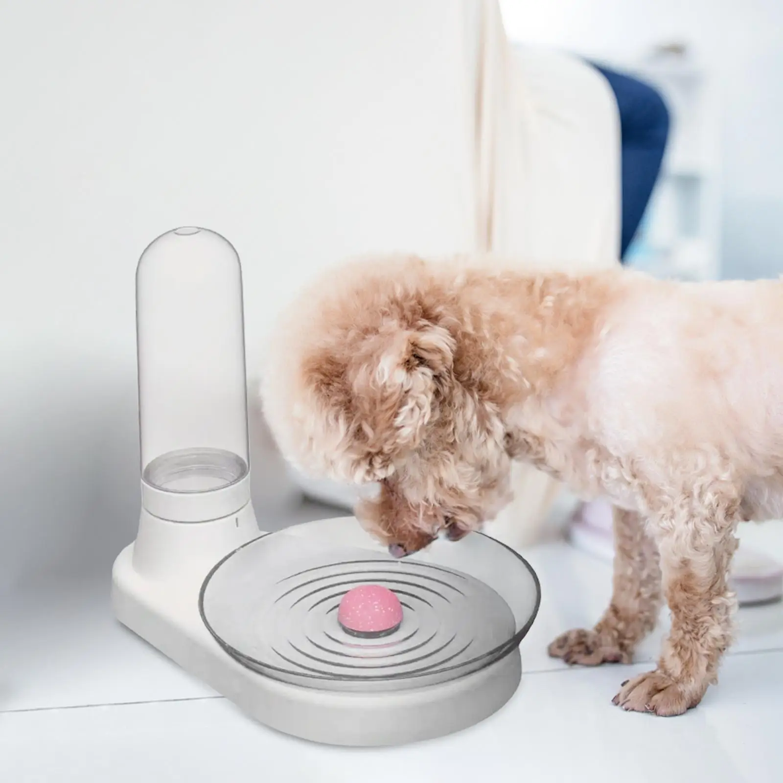 Pet Water Dispenser Cat Dog Water Feeder for Small Medium Dogs Rabbits Cats 
Pet Water Dispenser Cat Dog Water Feeder for Small Medium Dogs Rabbits Cats