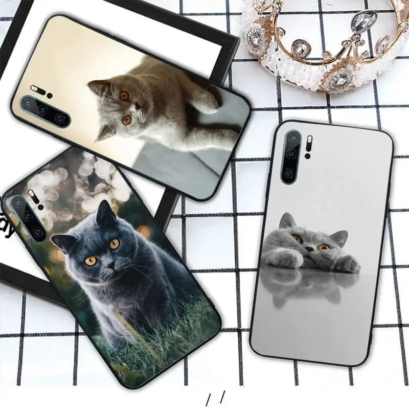 British Shorthair cat cute animal Phone Case For Huawei honor Mate 10 20 30 40 i 9 8 pro x Lite P smart 2019 Y5 2018 nova 5t
British Shorthair cat cute animal Phone Case For Huawei honor Mate 10 20 30 40 i 9 8 pro x Lite P smart 2019 Y5 2018 nova 5t
