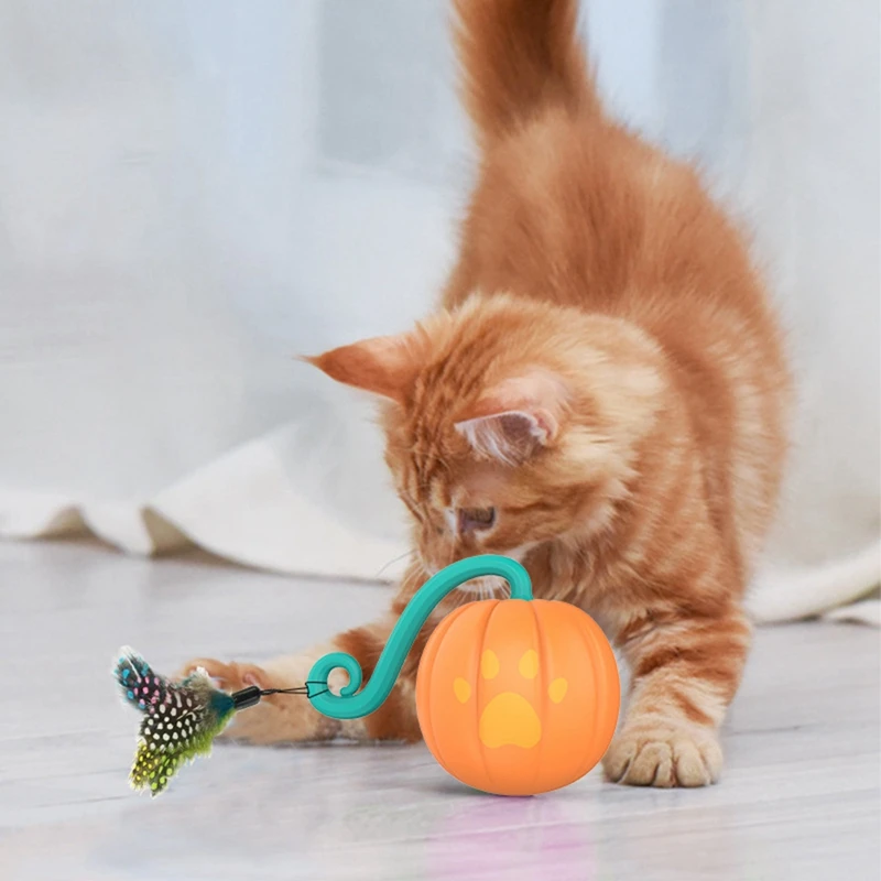 Smart Cat Toys Ball Automatic USB Rechargeable Self Rotating Colorful LED Feather Toys for Cats Kitten Pet Supplies
Smart Cat Toys Ball Automatic USB Rechargeable Self Rotating Colorful LED Feather Toys for Cats Kitten Pet Supplies