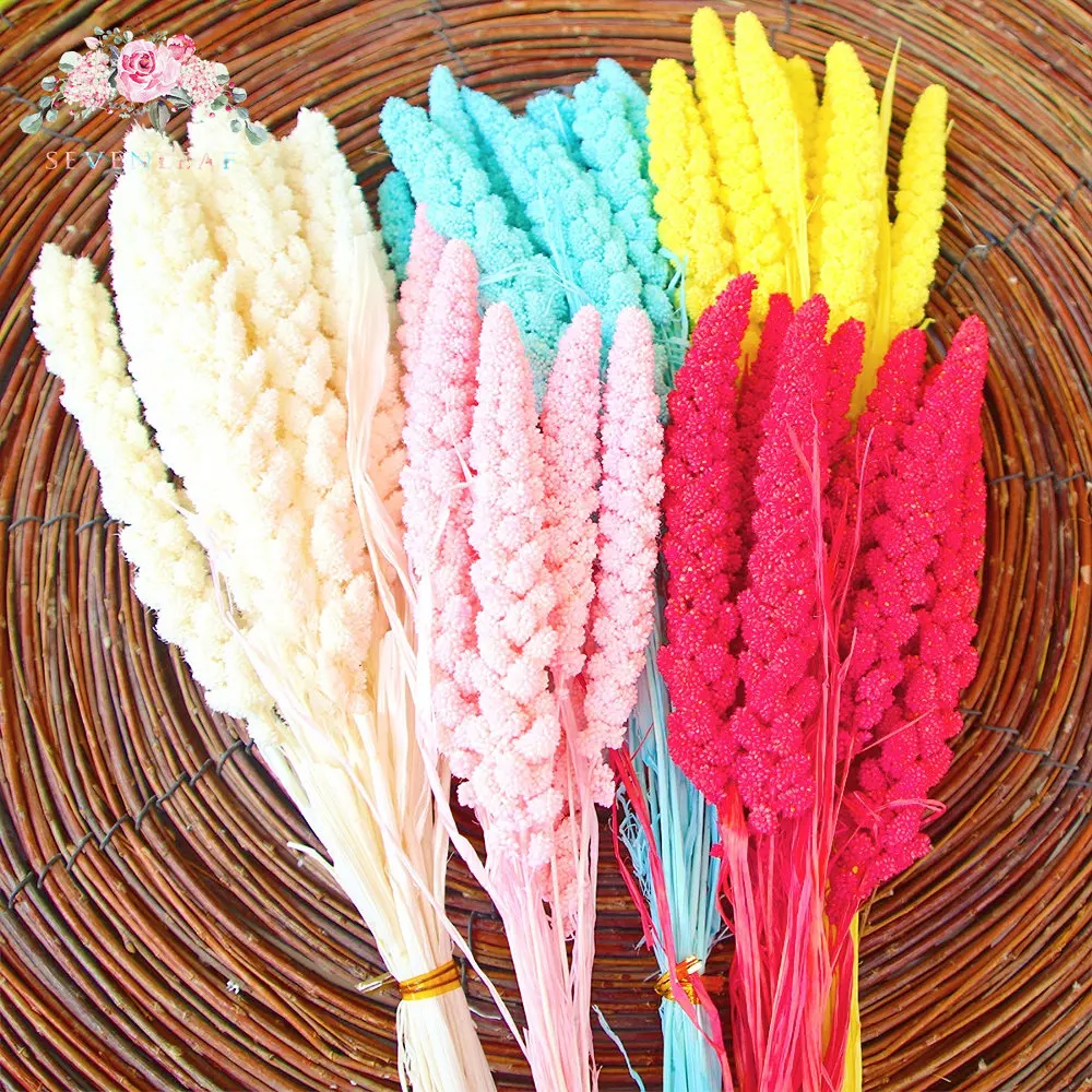 10pcs Natural Wheat Spikes Dried Flowers Bouquet Grain Home Wedding Table Decoration Dry Plants Garden Decor Birthday Ornament
10pcs Natural Wheat Spikes Dried Flowers Bouquet Grain Home Wedding Table Decoration Dry Plants Garden Decor Birthday Ornament