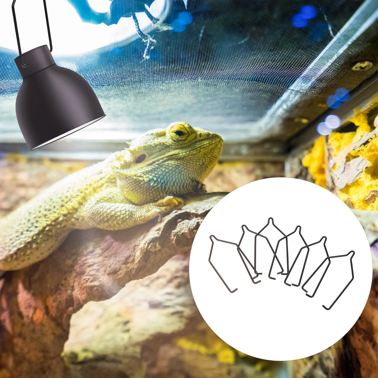 Reptile Lamp Holder Light Heat Clip Clamp Fixing Bulb Stand Lampshade Bracket Clips Metal Basking Turtle Hanger Shade
Reptile Lamp Holder Light Heat Clip Clamp Fixing Bulb Stand Lampshade Bracket Clips Metal Basking Turtle Hanger Shade
