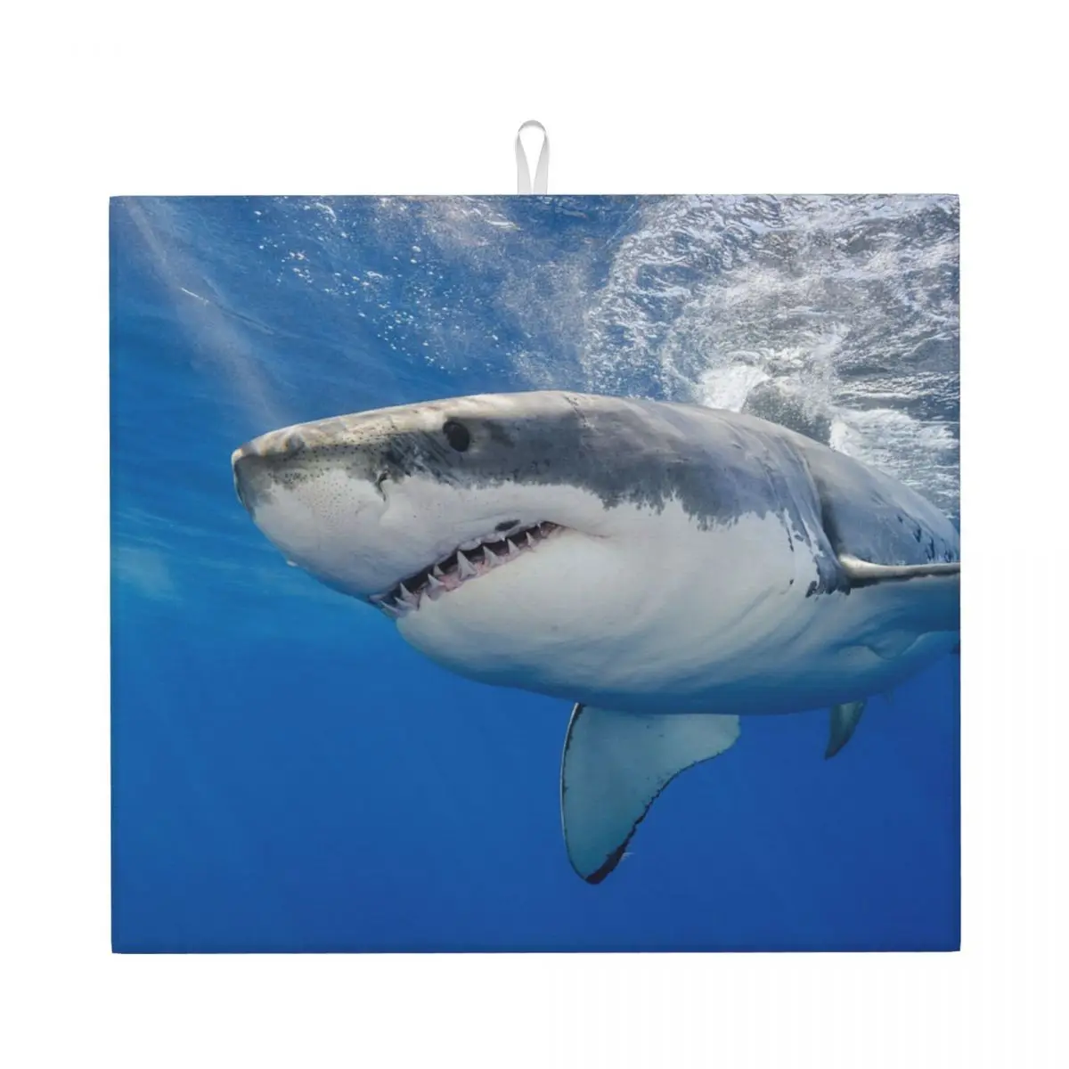 White Shark Carcharodon Island Mexico Placemats For Table Absorbent Drying Mat For Kitchen Under Tables Plates Drink Coaster
White Shark Carcharodon Island Mexico Placemats For Table Absorbent Drying Mat For Kitchen Under Tables Plates Drink Coaster