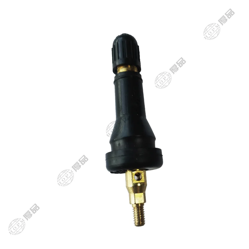 Car Tire Valve TPMS-36 Rubber Material Pressure Sensor Stem for HYUNDAI BESTUNE
Car Tire Valve TPMS-36 Rubber Material Pressure Sensor Stem for HYUNDAI BESTUNE